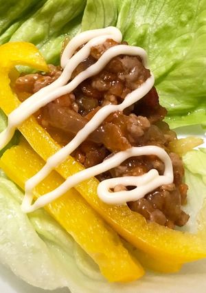 ひき肉野菜でアレンジレシピ7選-レシピのメイン写真