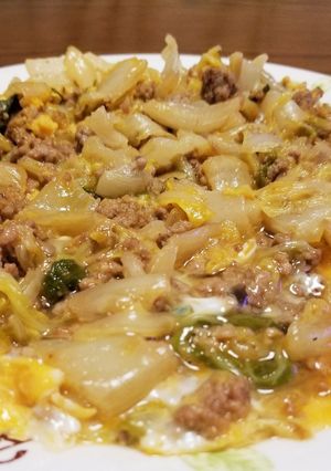 ☆白菜とひき肉の卵とじ☆-レシピのメイン写真