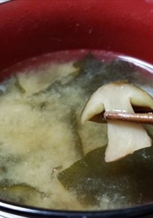 シモコシ、むかご、ワカメの味噌汁-レシピのメイン写真