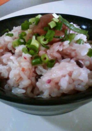 梅ごはん-レシピのメイン写真