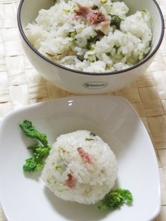 さくらと菜の花の炊き込みご飯-レシピのメイン写真