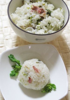 さくらと菜の花の炊き込みご飯-レシピのメイン写真