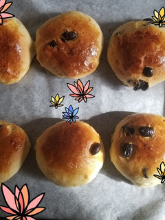 豆パン-レシピのメイン写真