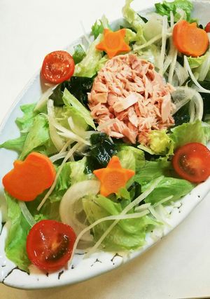 レタス 玉葱 わかめ シーチキンのサラダ-レシピのメイン写真