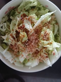 白菜の葉のさっぱりサラダ-レシピのメイン写真