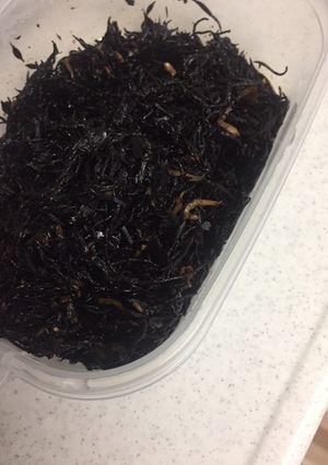 梅とめんつゆのみで！じゃことひじきの煮物-レシピのメイン写真