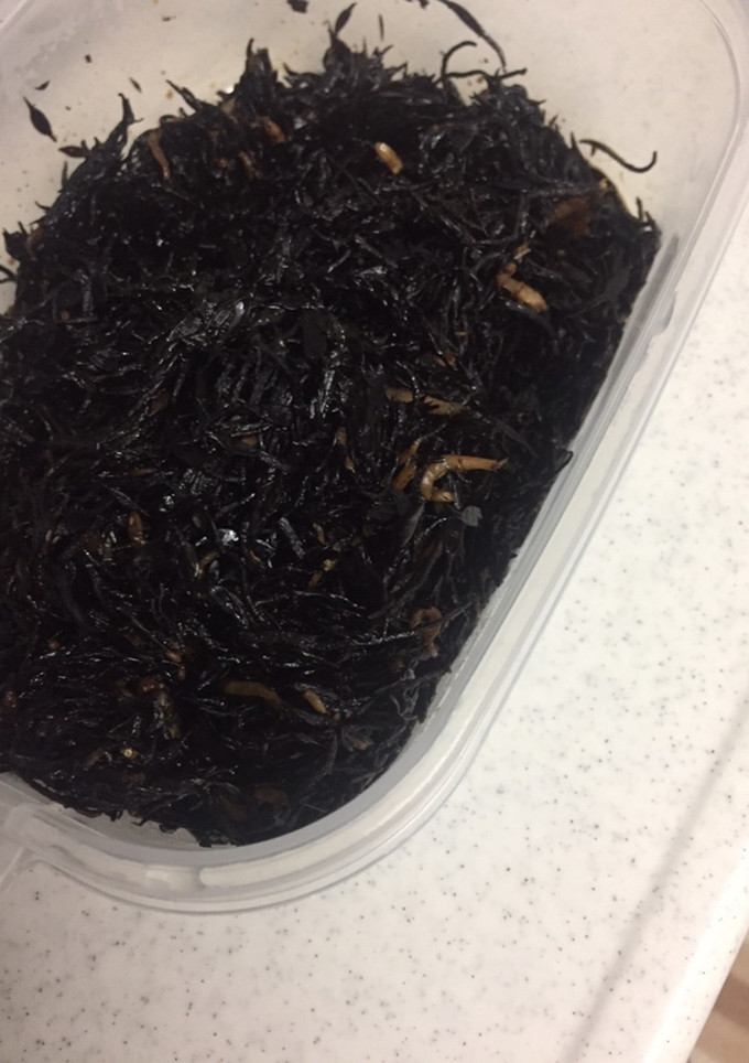 梅とめんつゆのみで！じゃことひじきの煮物-レシピのメイン写真