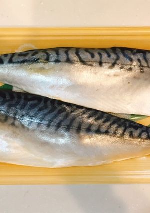 お魚&お肉長持ち!冷凍保存の方法-レシピのメイン写真
