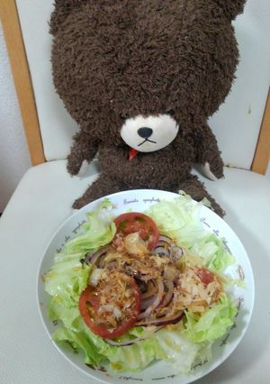レタスとトマト紫玉ねぎのサラダ-レシピのメイン写真