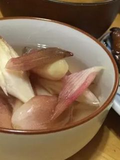 ミョウガの甘酢漬け-レシピのメイン写真