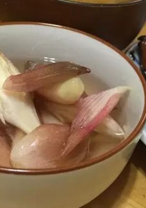 ミョウガの甘酢漬け-レシピのメイン写真