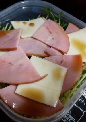 時短でクセのない豆苗サラダ-レシピのメイン写真