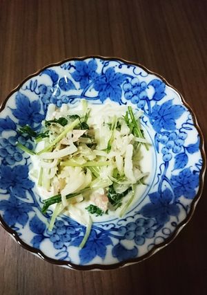 大根と水菜のサラダ-レシピのメイン写真