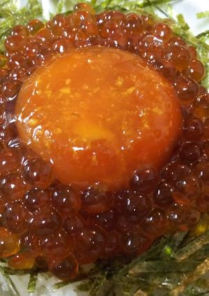 絶品・イクラと雲丹卵を乗せた丼-レシピのメイン写真