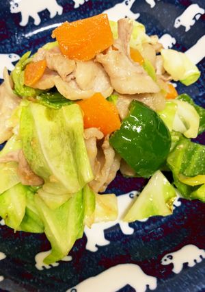 甜麺醤なし豆板醤なしで！簡単うちの回鍋肉-レシピのメイン写真