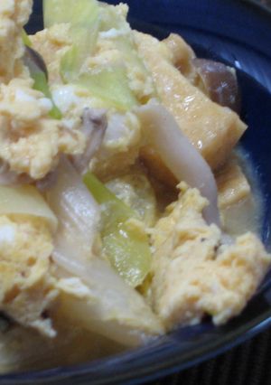 休日朝ご飯－お揚げと長ネギの卵とじ-レシピのメイン写真