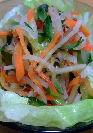 千切り野菜のさっぱりサラダ-レシピのメイン写真