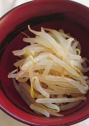 レンチン和風もやしナムル-レシピのメイン写真