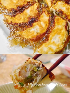 海老レンコン大葉餃子-レシピのメイン写真