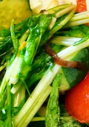 きゅうり&水菜&トマトの塩昆布あえ-レシピのメイン写真