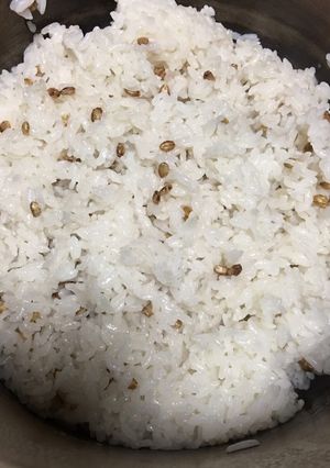 皮付きもち麦入りご飯(圧力鍋)-レシピのメイン写真