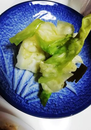 箸休めにも☆キャベツと昆布の浅漬け-レシピのメイン写真