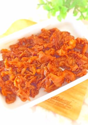 お肉やわらか塩麹入りポークチャップ-レシピのメイン写真