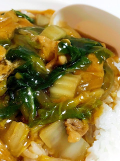 時短で激安!お蕎麦屋さんの簡単和風カレー-レシピのメイン写真
