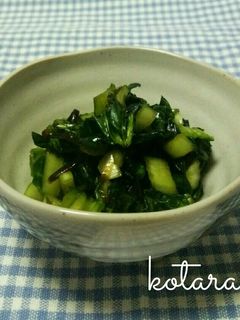 ターサイと塩昆布の漬物-レシピのメイン写真