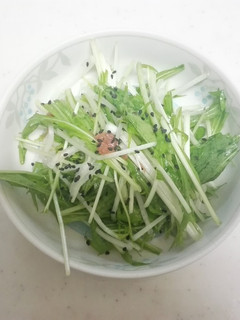 水菜と大根のサラダ-レシピのメイン写真
