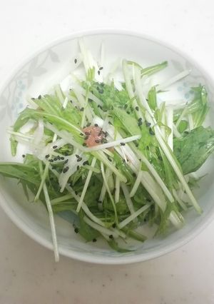 水菜と大根のサラダ-レシピのメイン写真