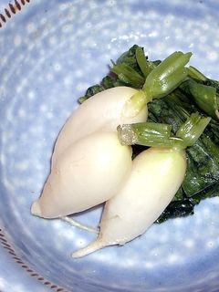 ミニダイコンの浅漬け-レシピのメイン写真
