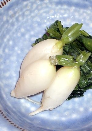 ミニダイコンの浅漬け-レシピのメイン写真