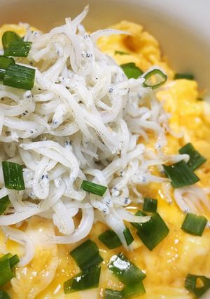 わたしたちのズボラ丼-レシピのメイン写真