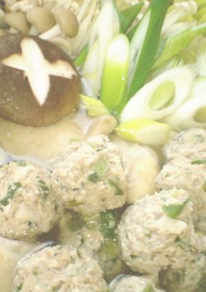 軟骨入りっぽい!?ヘルシー鶏団子鍋-レシピのメイン写真