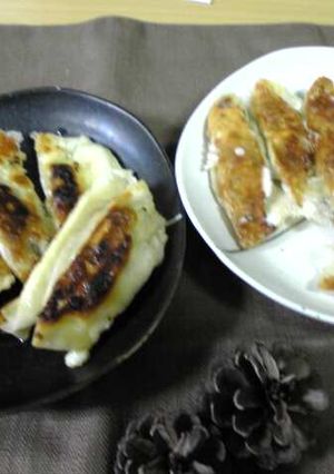 残り物でバラエティー餃子-レシピのメイン写真