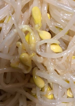 大豆もやしのナムル-レシピのメイン写真