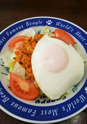 野菜ミートのタコライス-レシピのメイン写真