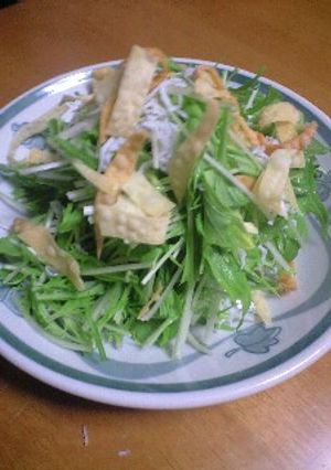 さっぱり♪水菜のサラダ-レシピのメイン写真