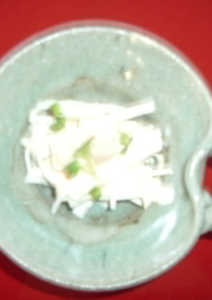大根とほたて缶のマヨ和え-レシピのメイン写真