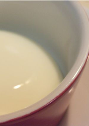 ✔フルフルもっちり。濃厚牛乳プリン。-レシピのメイン写真