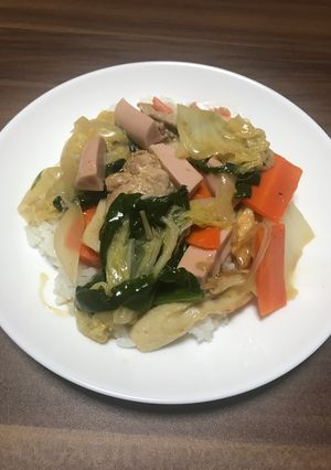 白菜メインに、八宝菜丼-レシピのメイン写真