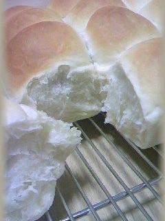 豆乳入りちぎりあんぱん-レシピのメイン写真