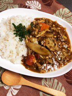 根菜たっぷり 鶏ひき肉和風カレー-レシピのメイン写真