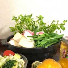 รูปของ 鍋に！スタンディング豆苗