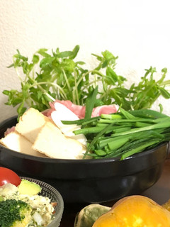鍋に!スタンディング豆苗-レシピのメイン写真
