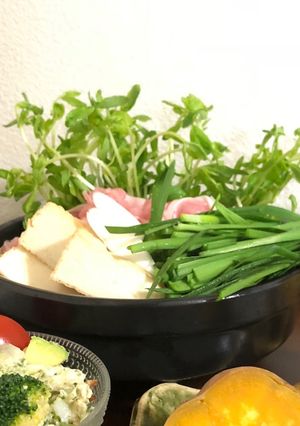 鍋に！スタンディング豆苗-レシピのメイン写真