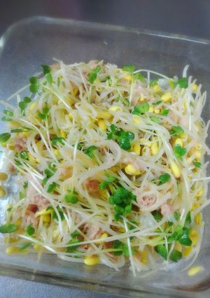 我が家の簡単常備菜。豆もやしナムル-レシピのメイン写真