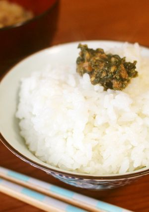 葱の青い部分大量消費☆瓶詰風葱肉みそ-レシピのメイン写真