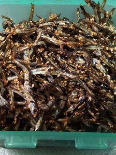 いりこ佃煮-レシピのメイン写真